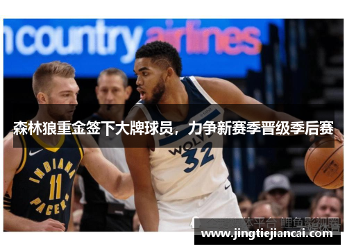 森林狼重金签下大牌球员，力争新赛季晋级季后赛